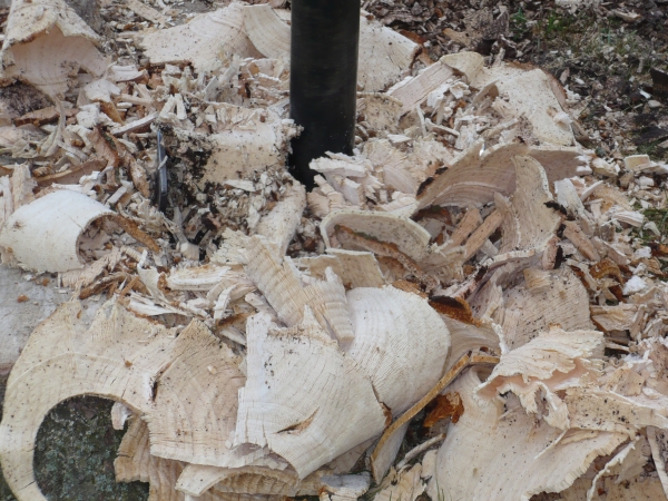 Koonstra, Stobbenboren: snel, veilig en zonder schade aan uw terrein